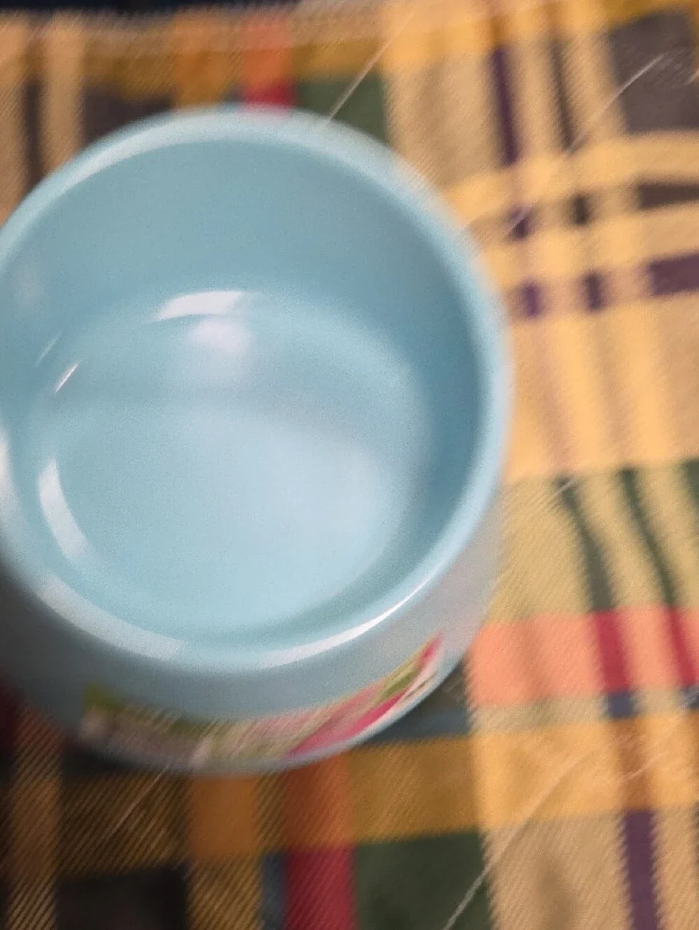 Ecoware Light Blue Raised Pet Bowl 8 Oz